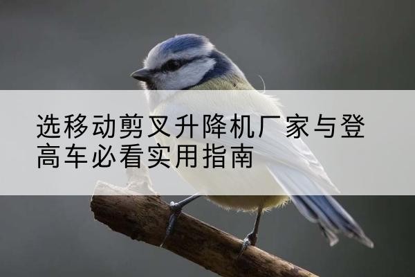 西藏电动升降机厂家-选移动剪叉升降机厂家与登高车必看实用指南