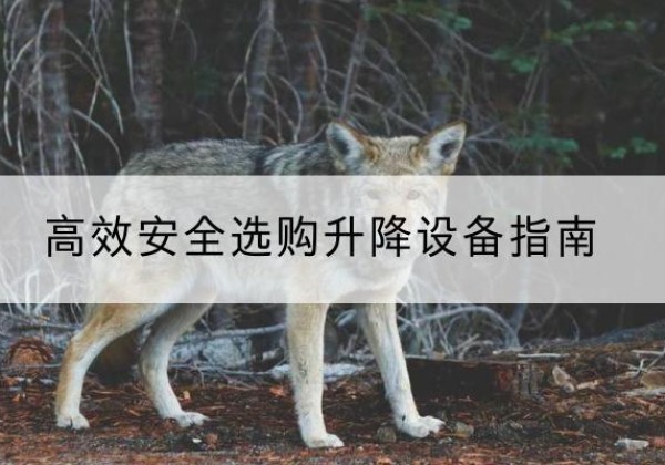 西藏升降货梯厂家推荐-*安全选购升降设备指南